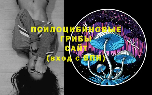 трава Абдулино