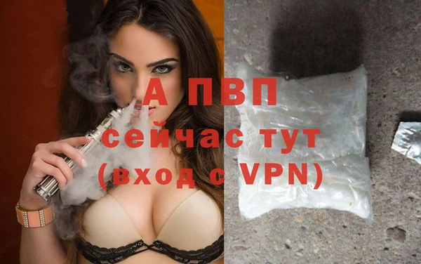 ешки Абаза