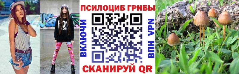 Псилоцибиновые грибы мухоморы  Ужур 